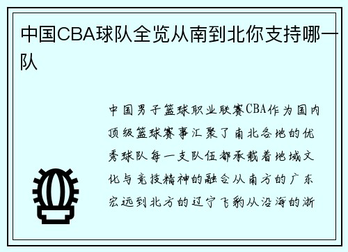 中国CBA球队全览从南到北你支持哪一队